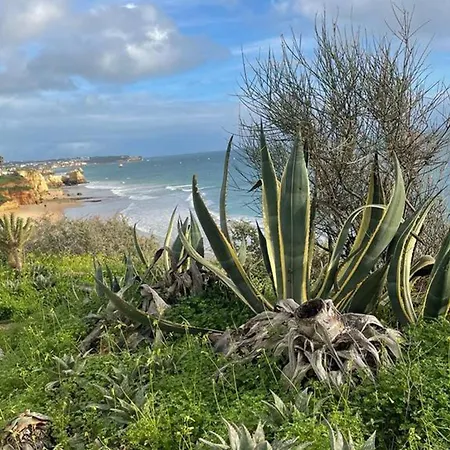 Sunnyside Suite-portimao Apartamento *